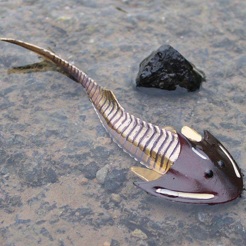 儿童仿真动物玩具史前海洋生物甲鱼模型远古寒武纪仿真