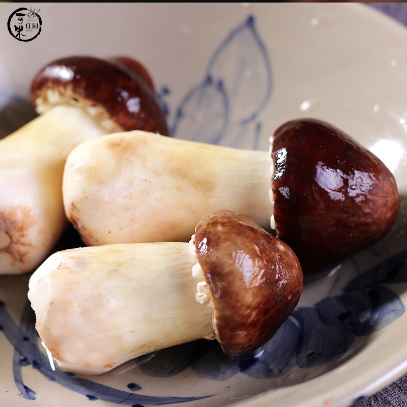 云南野生菌新鲜姬松茸农家种植非松茸干新鲜蘑菇新鲜蔬菜包邮