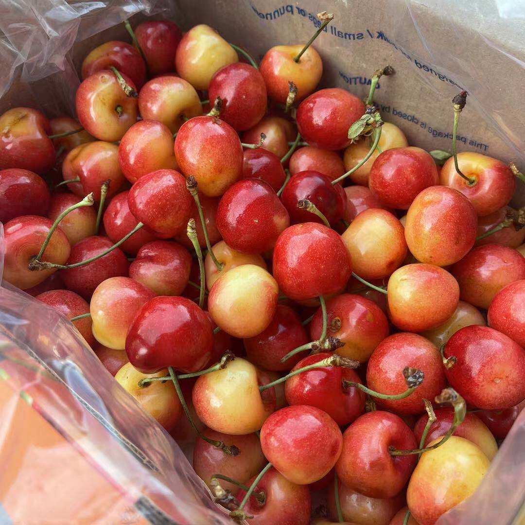 智利海运雷尼尔黄车厘子2斤散装2j3j4j新鲜rainier蕾尼黄金黄车