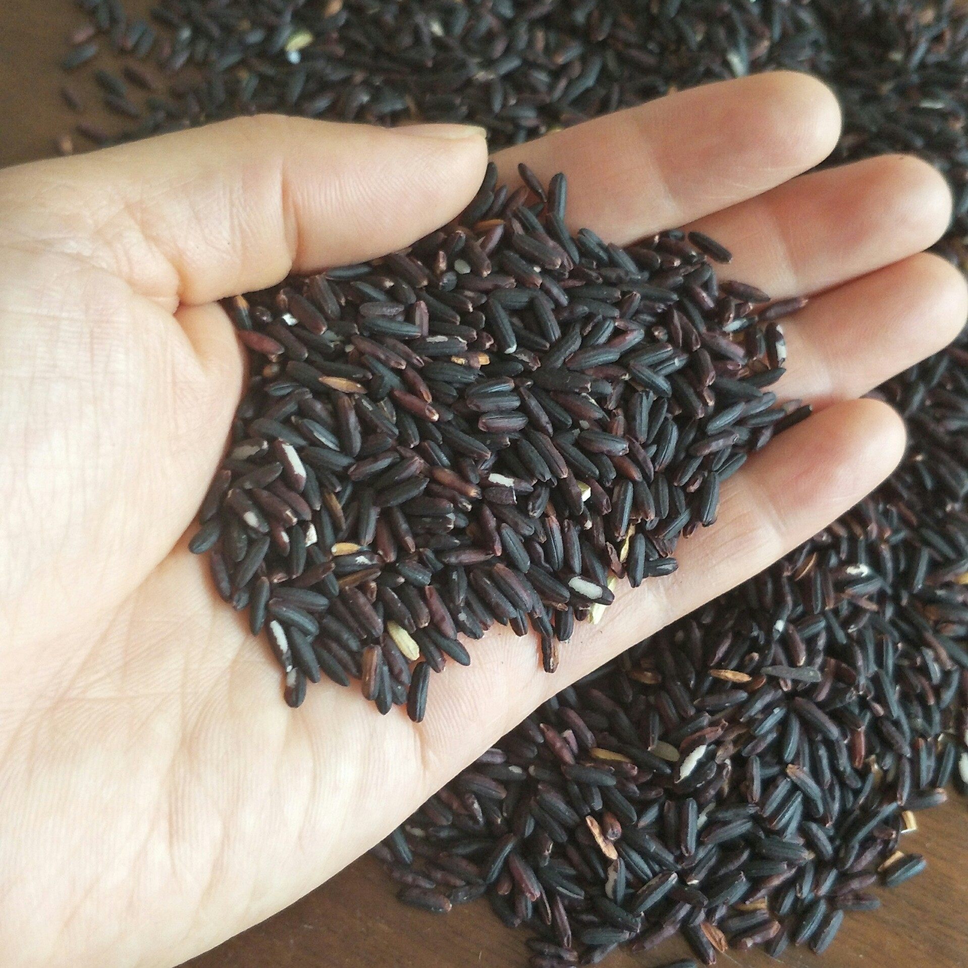 糯米5斤装包邮广西东兰墨米黑巴马特产农家糯米