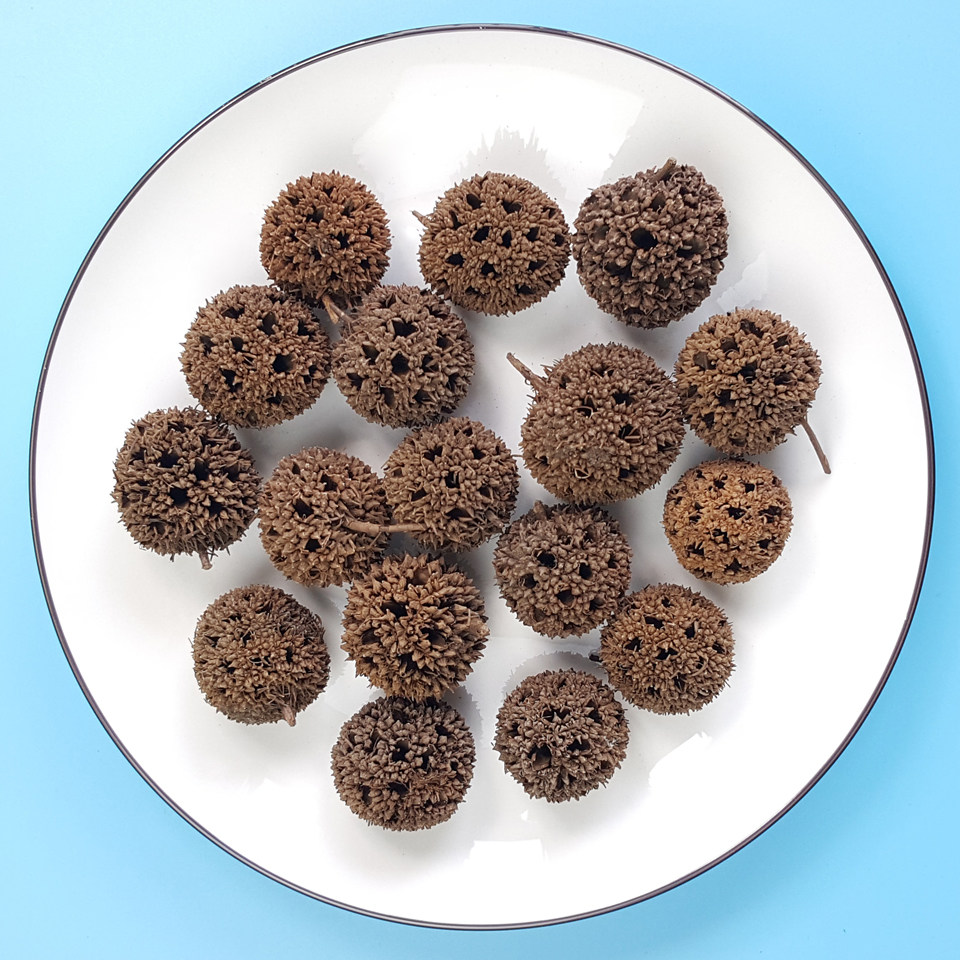 【第二斤半价】路路通中药材500克包邮 枫球子枫球籽祛湿风疹下奶