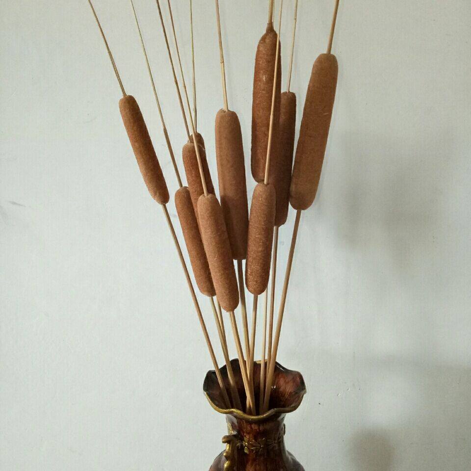 天然蒲棒蜡烛干花花束家居装饰插花材料艺术创意干花