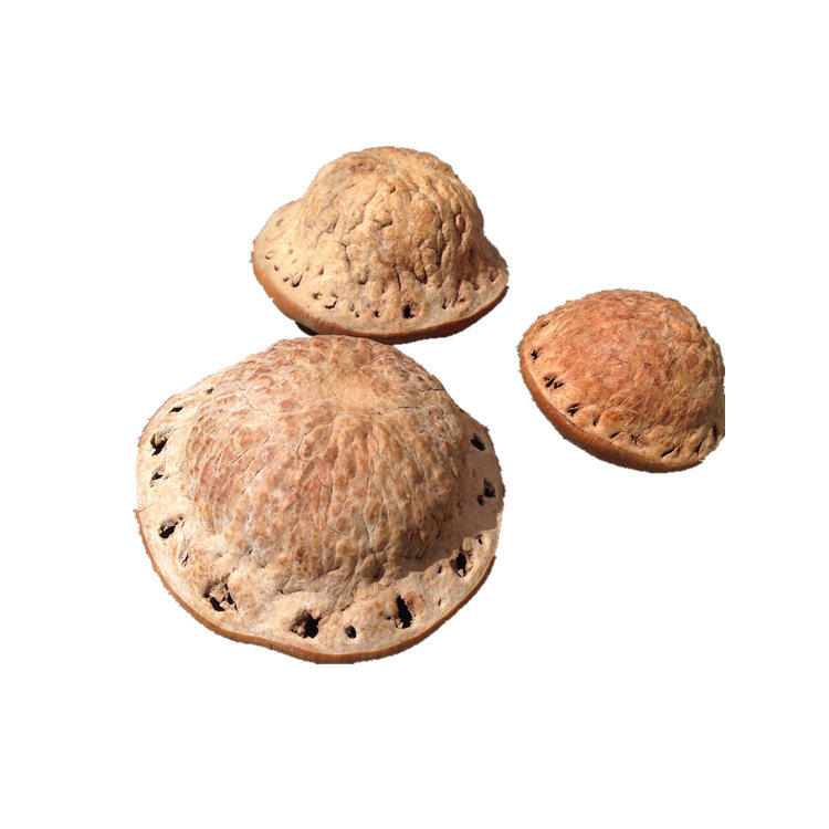 西藏特产风流果龟头子天竺粒厚鳞柯泡酒500克风流果