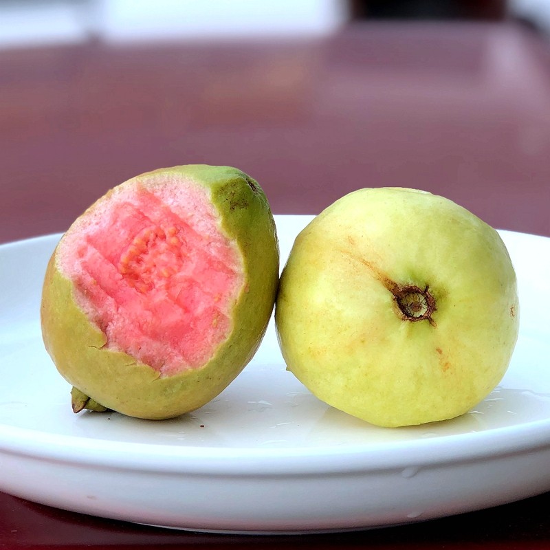 软糯芭乐草莓细滑红心酸甜番石榴5斤顺丰芭乐