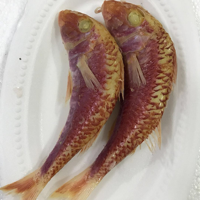 潮汕特产潮州打冷新鲜红鱼鱼饭即食一斤红鱼熟鱼当天