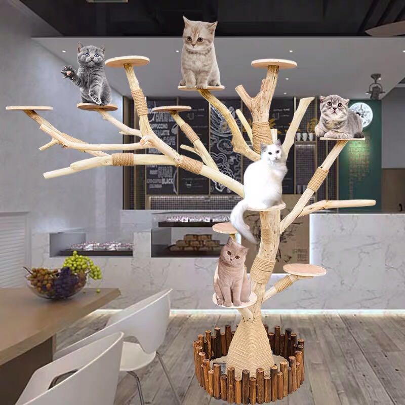 榆木猫爬架防腐原木枯树大型猫窝网红宠物跳台狗窝