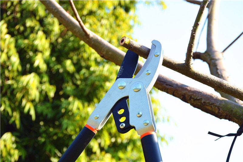 台湾进口伸缩省力剪刀粗枝剪果树修枝剪 果园大力剪 园艺剪修枝