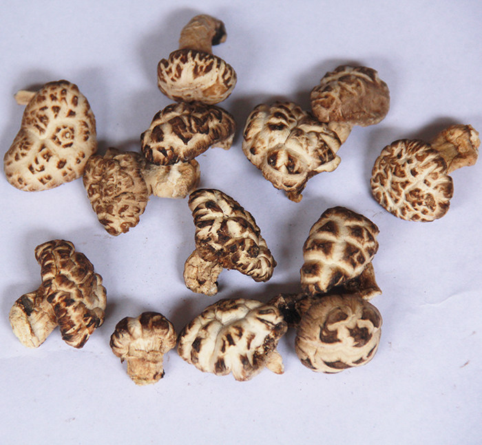 花菇特级雪花江西井冈山特产小花香菇菇类蘑菇香菇类