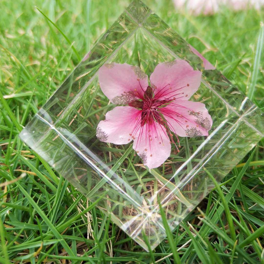 三生三世桃花永生花标本情人节创意浪漫生日礼物diy摆件