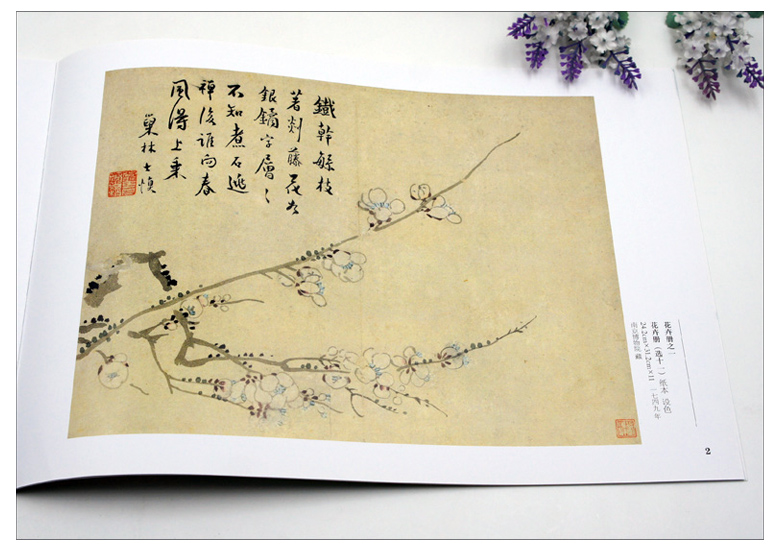 花卉册页天美正版技法国画范本临摹作品集画作绘画新