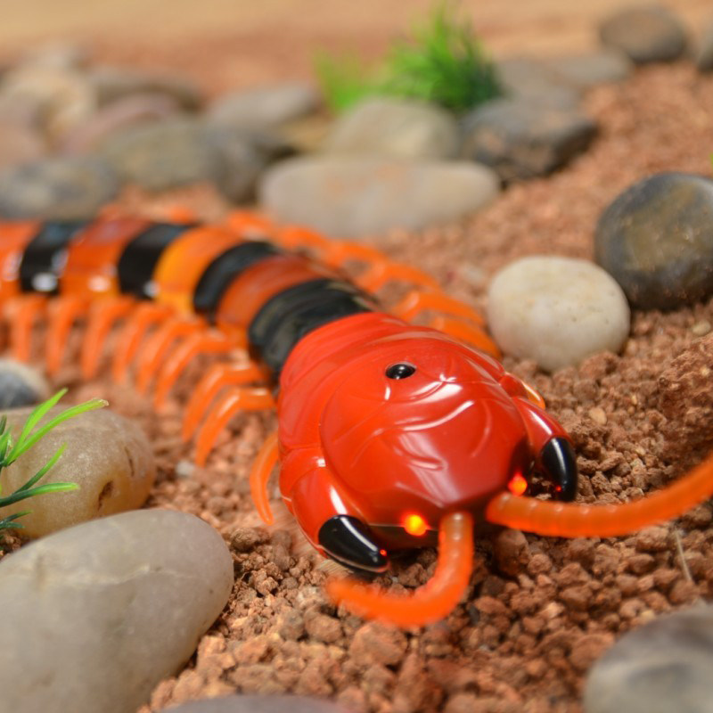 跨年夜礼物玩具遥控动物玩具巨蜈蚣宝宝玩具电动遥控仿真蜈蚣模型