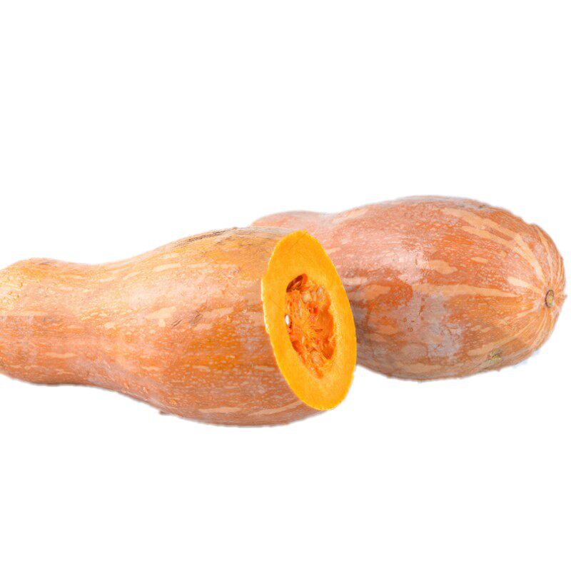 南瓜种籽四季种植品种金钩种子蜜本味甜微面家庭园艺种子