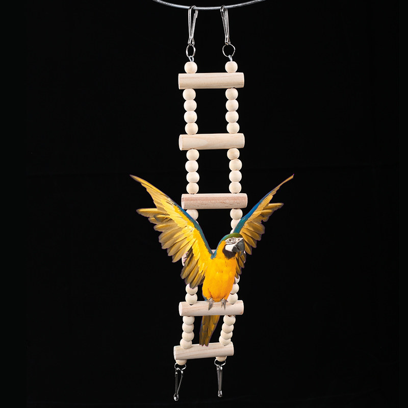 鹦鹉玩具秋千吊环站架玄风虎皮八哥秋千