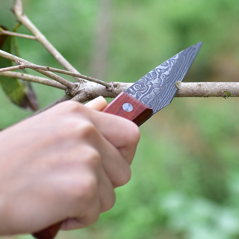 立锦多功能嫁接工具果树粗树特种特级手工日本芽接刀