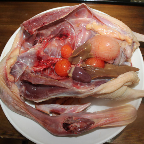 菜农哥3年老鸭土鸭农家林间散养麻鸭老水鸭齐毛鸭新鲜当日现杀发