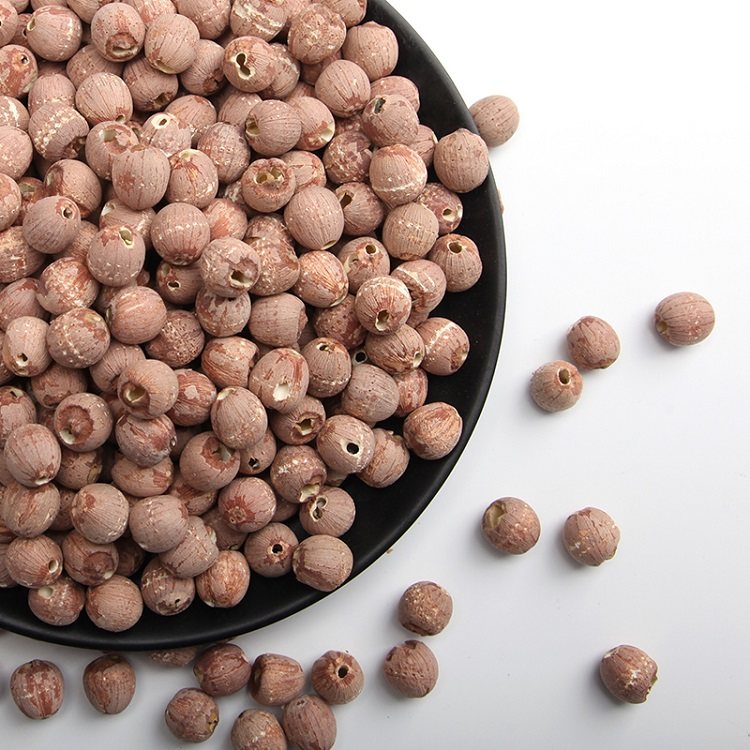 莲子藕荷红莲500g去芯红皮无硫新鲜带皮无芯莲子