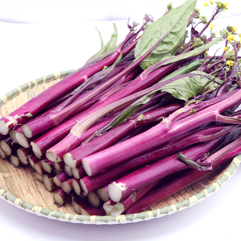 湖北武汉洪山菜苔新鲜蔬菜紫菜农家自种菜心其它