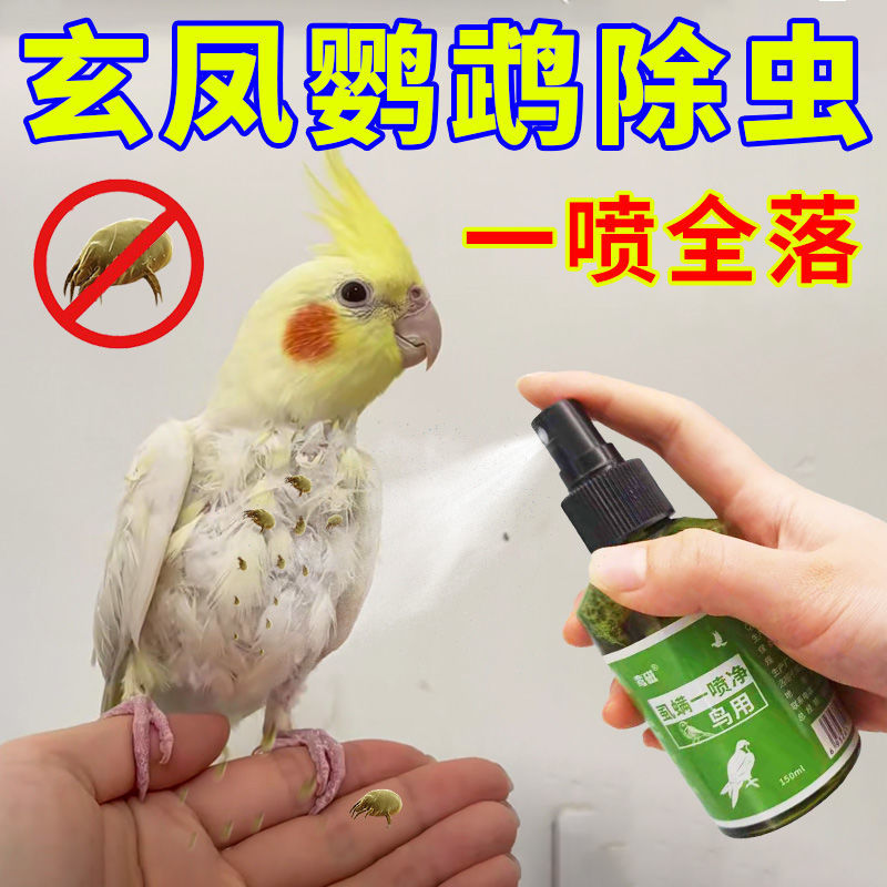 鹦鹉一喷亮羽洁羽螨虫虱子玄凤体外不剩一只医疗用品