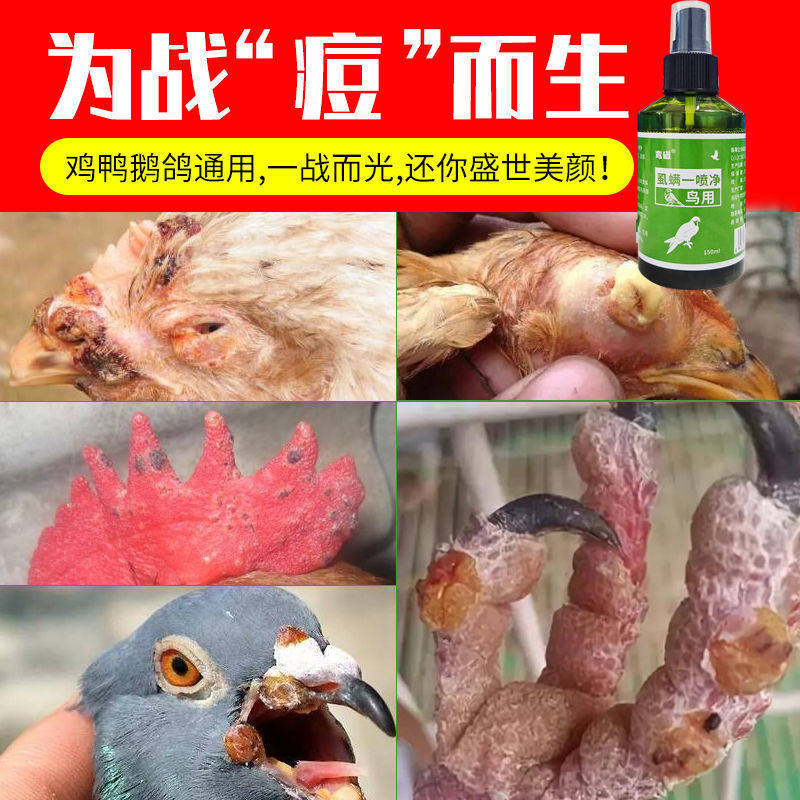 嘴角一喷鸽痘特效痘药痘鸟内长眼皮体外鸽子医疗用品
