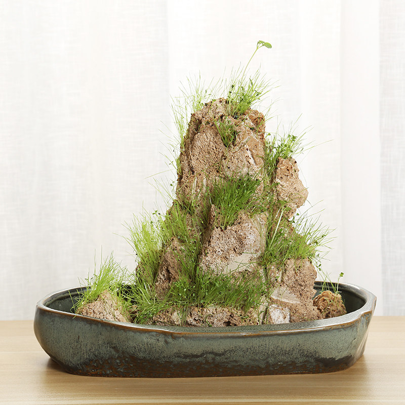 吸水石室内花盆托盘石盆室内复古上水装饰石底座花盆