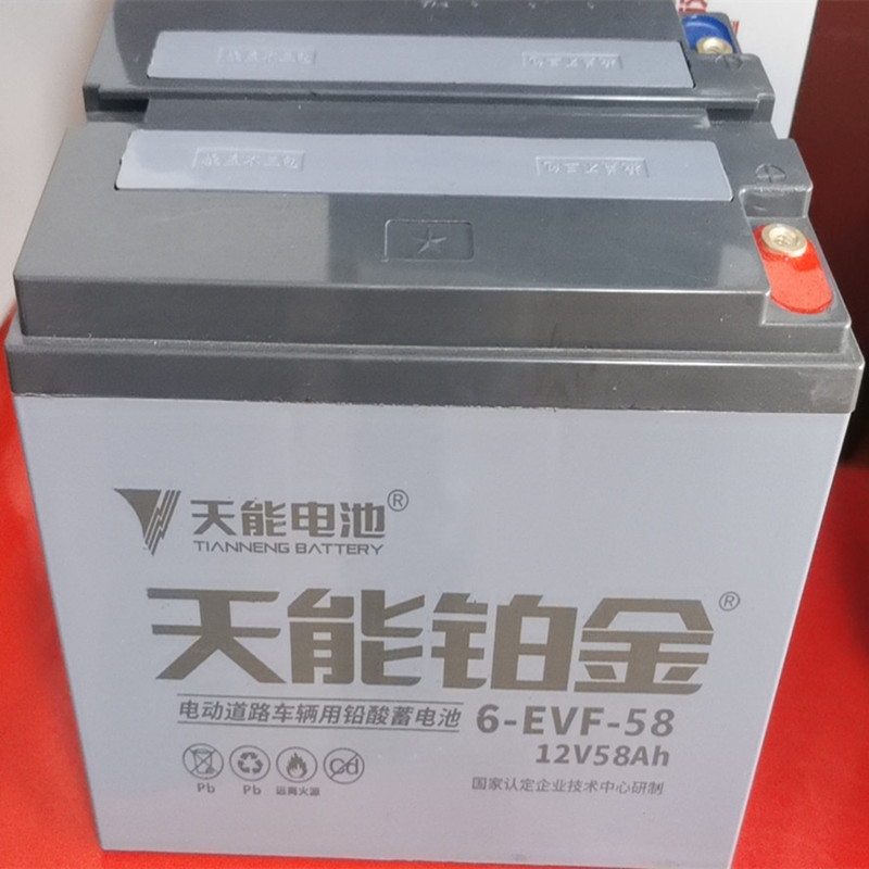 天能铂金铅酸蓄电池6evf5848v60v58ah电动车电瓶电动车电池