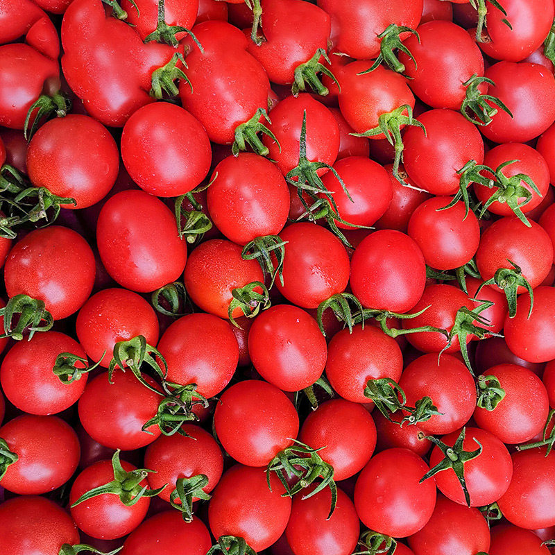 圣女果千禧小番茄水果新鲜小西西红柿包邮樱桃柿子番茄