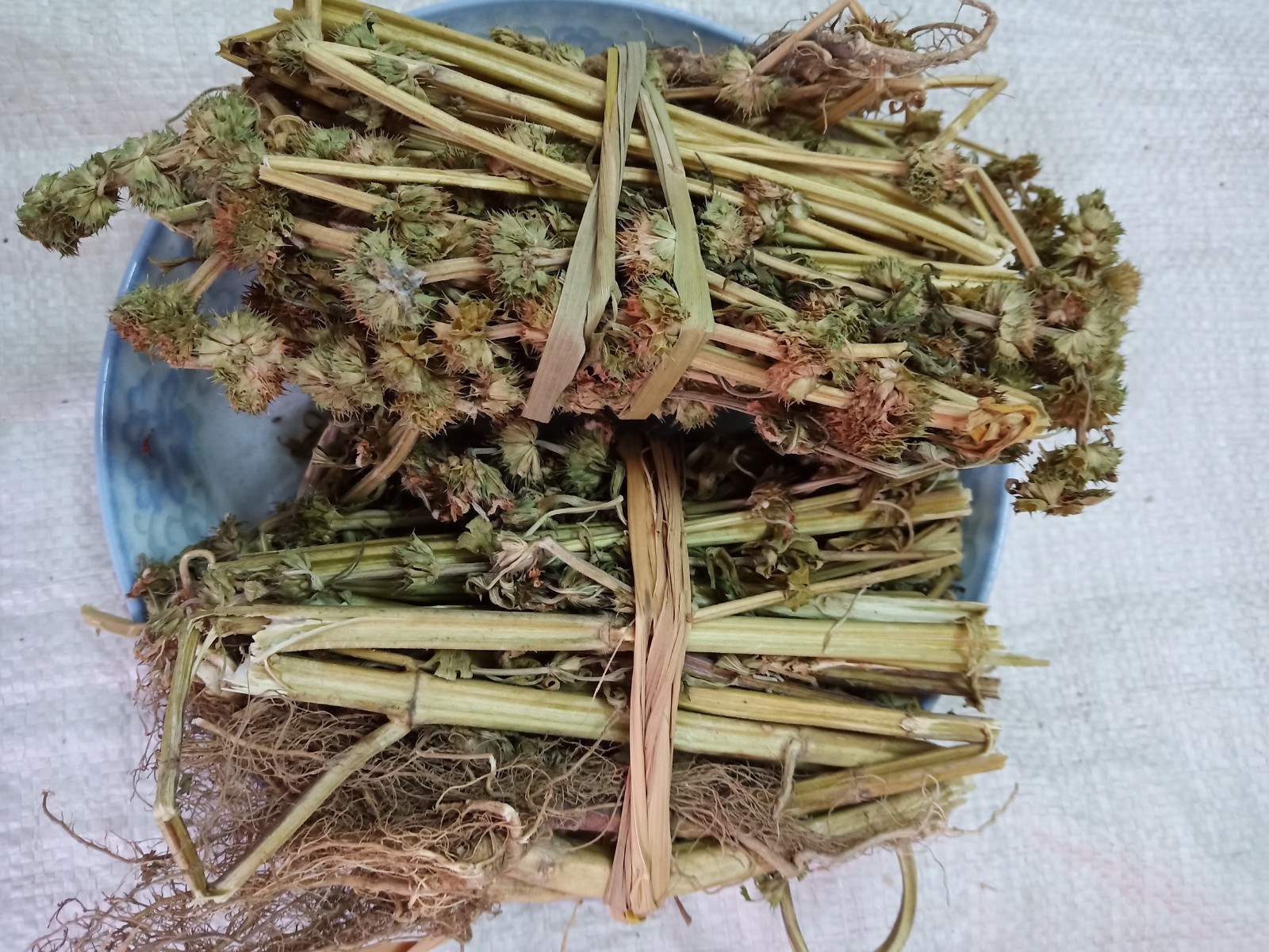 益母草中药材花茶血泡气血姨妈新鲜调理姜调理红糖其他药食同源食品
