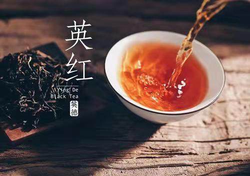 广东特产英德红茶英红九号袋装500克特浓型茶味其它红茶