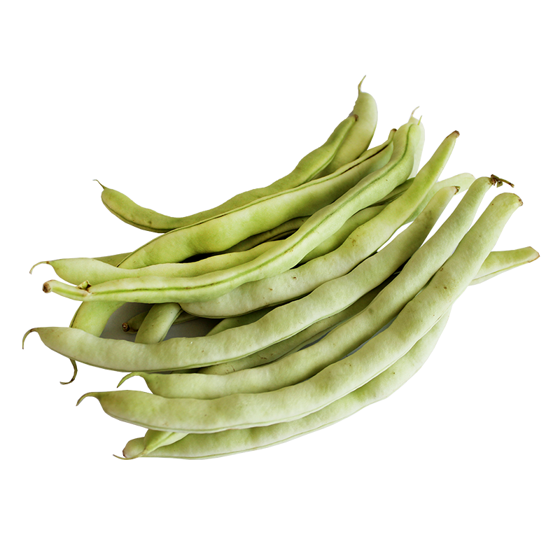 东北芸豆角 新鲜白芸豆四季豆 白架豆 扁豆九粒白 5斤包邮 老来少