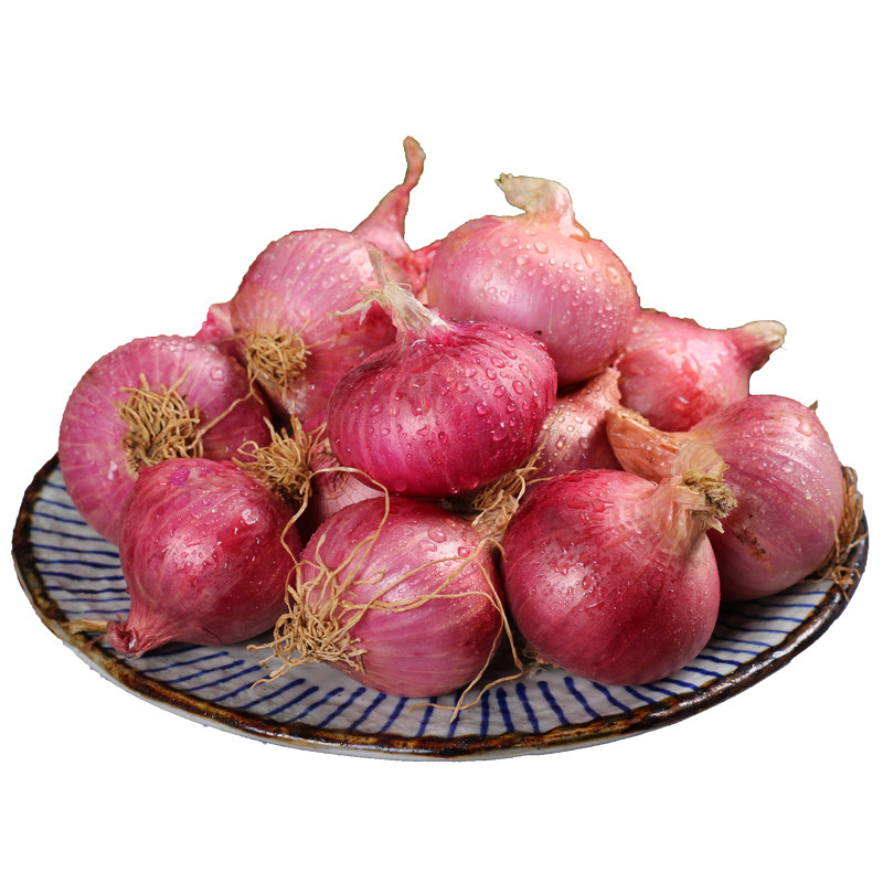 东北毛葱头农家特产新鲜种籽栽子5斤鬼干小洋葱头迷你圆红葱头