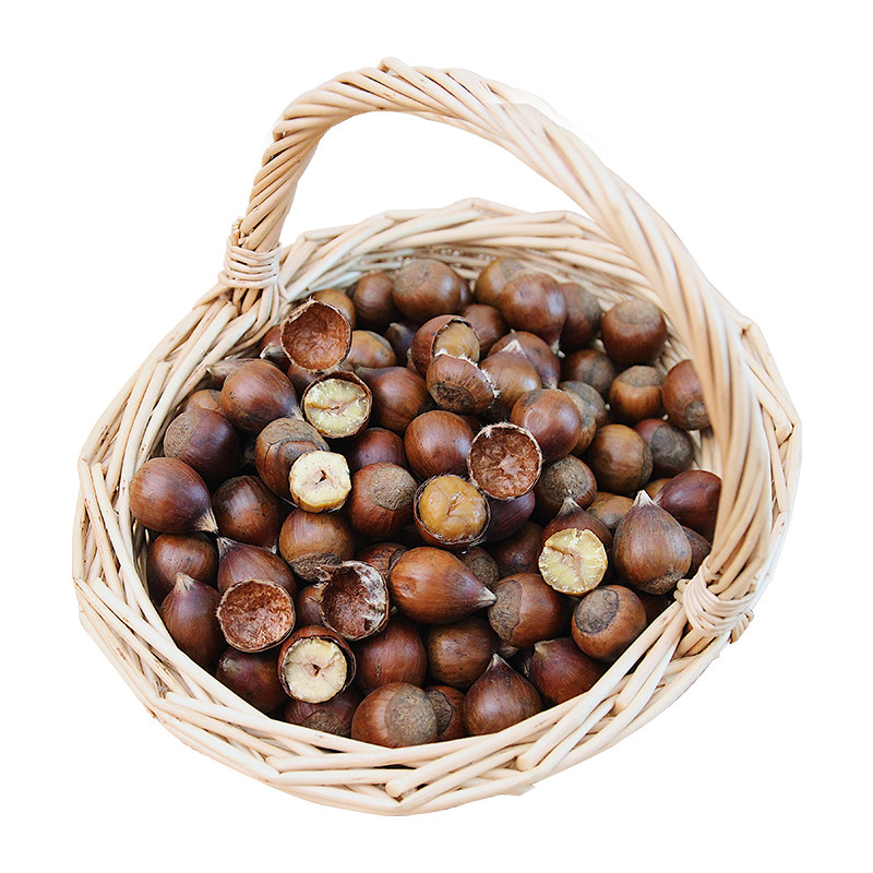 150g绿袋包装品桃源建瓯锥栗九和食品带壳榛子非板栗福建武夷特产