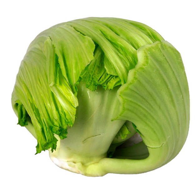 潮汕特产家乡菜小家庭农场新鲜蔬菜芥球500g新鲜芥菜球广东大芥菜