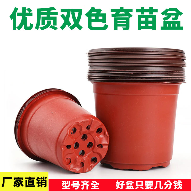 育苗盆:双色小盆,多肉的完美起点