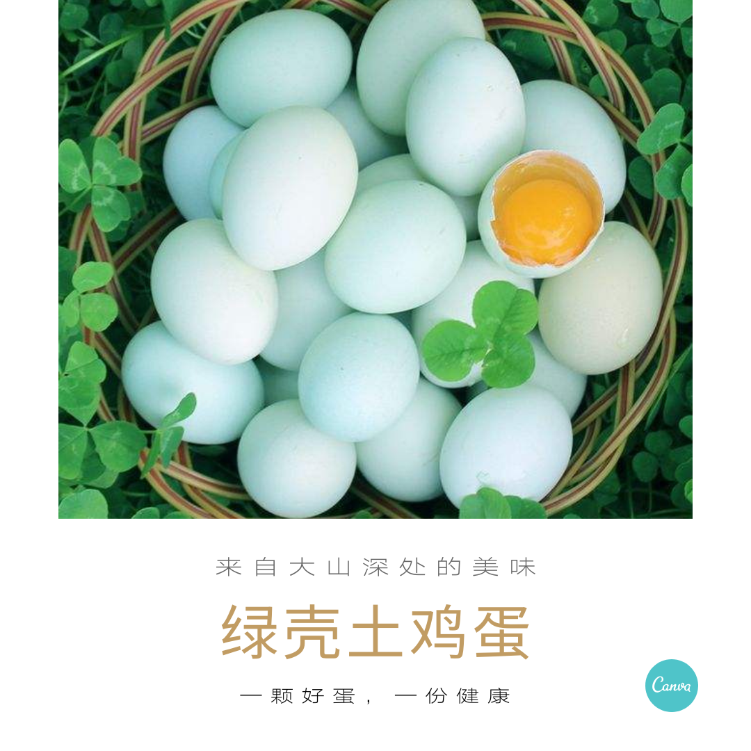 鸡蛋绿壳30枚山林散放杂粮喂养青菜补饲五黑鸡蛋