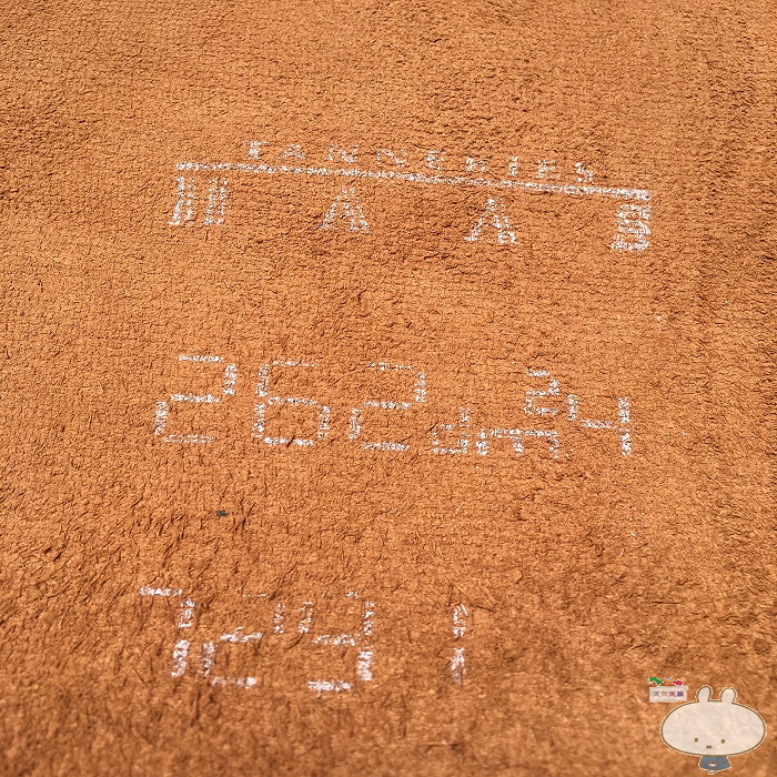 法国进口原版h家巴哈尼亚barenia原厂haas牛皮手工皮具diy皮料