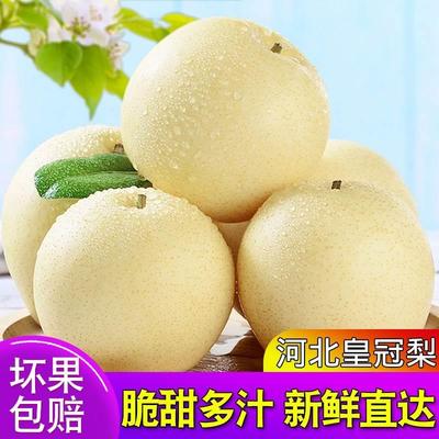 皇冠河北正宗9斤季水多果脆箱包梨功效与作用/价格/好不好/哪里买