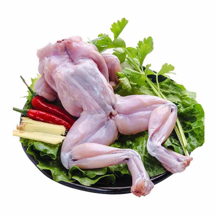 水煮活蛙现杀冷冻半成品牛蛙鲜活水产麻辣10斤其它