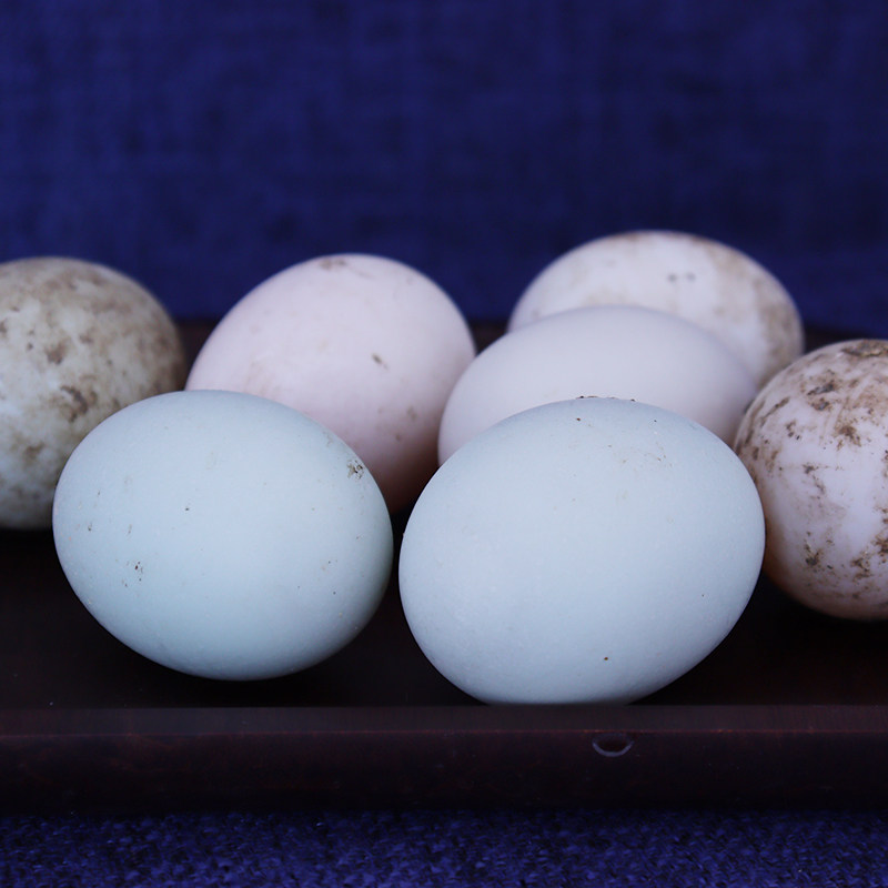 鸭蛋千岛湖山区生态农场散养新鲜20枚宝宝宝孕补充鸭蛋