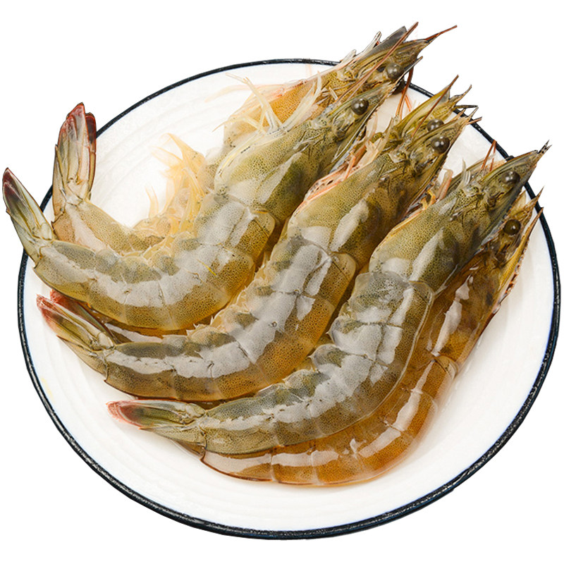 小份装活冻青岛大虾超大虾海鲜水产3斤