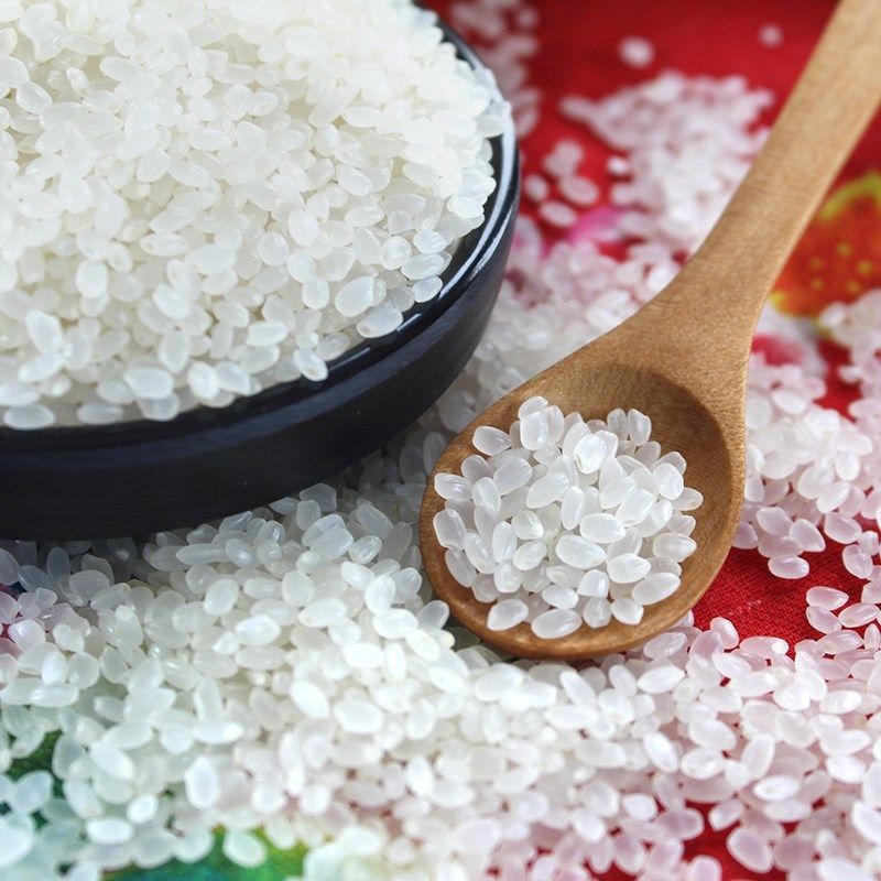 东北大米秋田小町圆粒米吉林松原原米嚼劲2019年新米大米