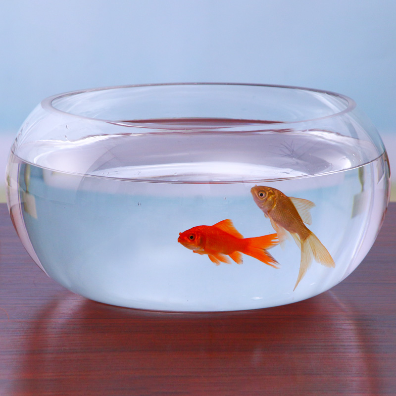 鱼缸透明玻璃办公桌创意客厅圆形龟缸小型乌龟鱼缸