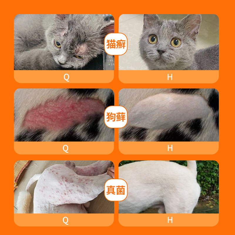 普安特肤诺恩喷剂狗狗真菌皮肤病猫藓外用狗癣猫癣专用猫咪黑下巴