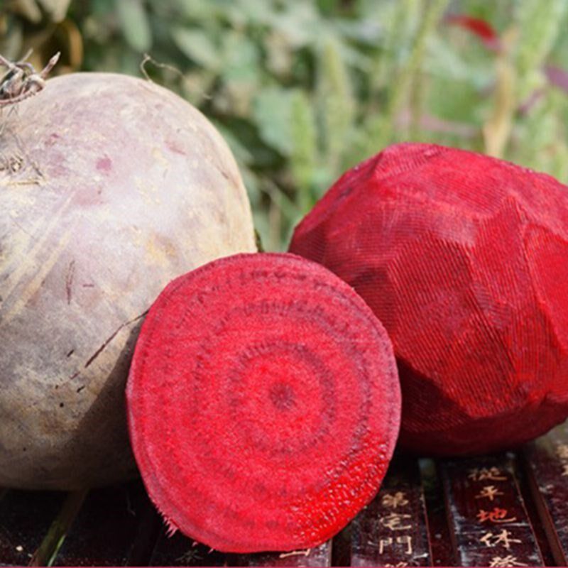 新鲜甜菜19年菜根现拔发红菜头紫菜泡菜蔬菜其它