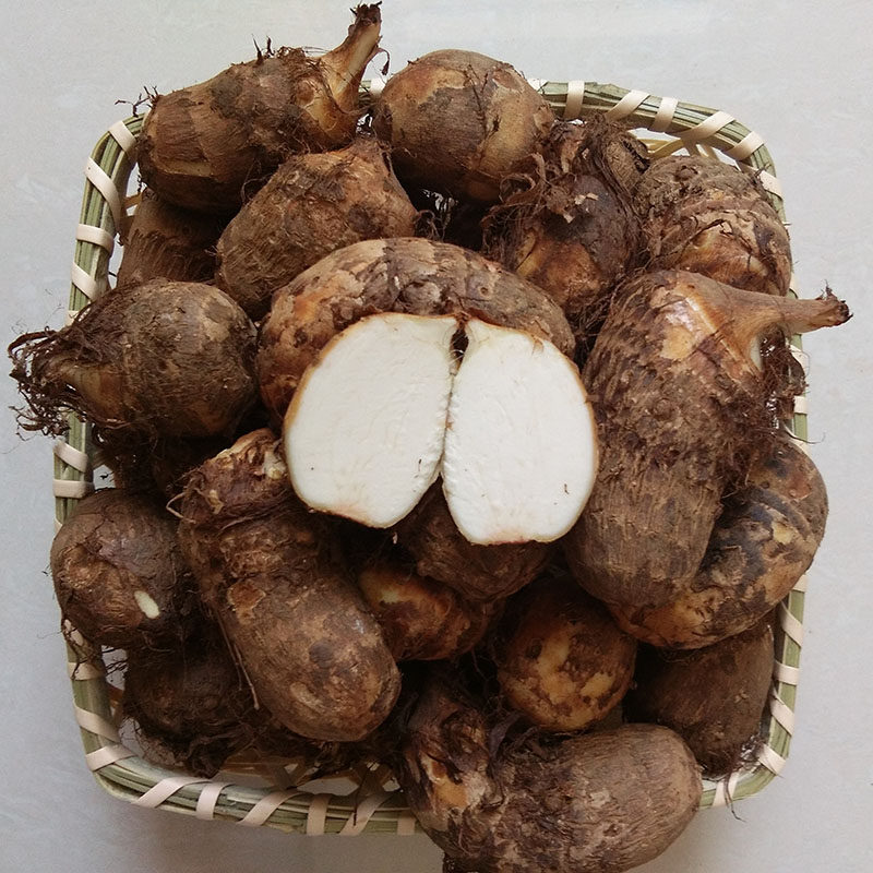新鲜芋头甜鲜装包5斤仔芋蔬菜时令香糯小香其它