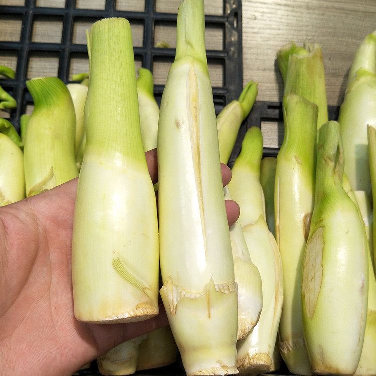 蔬菜5斤新鲜上海农家野生高瓜高茭白白嫩茭瓜其它