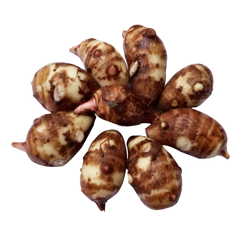 新鲜现挖小毛芋头芋艿蔬菜农家自种带箱5斤其它