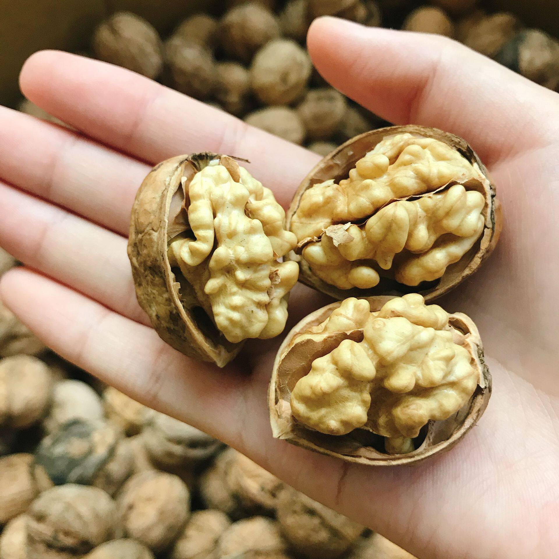 新疆原色纸皮核桃坚果新鲜炒货带壳手剥皮个大纸皮