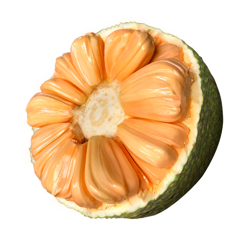 红肉菠萝蜜红心新鲜水果整个菠萝大果熟果101216斤菠萝蜜