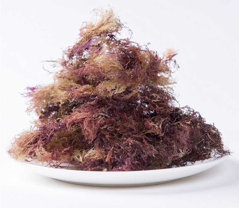 悠悠干石花菜食用海石花胶冻草非龙须菜海毛菜冻海藻其它