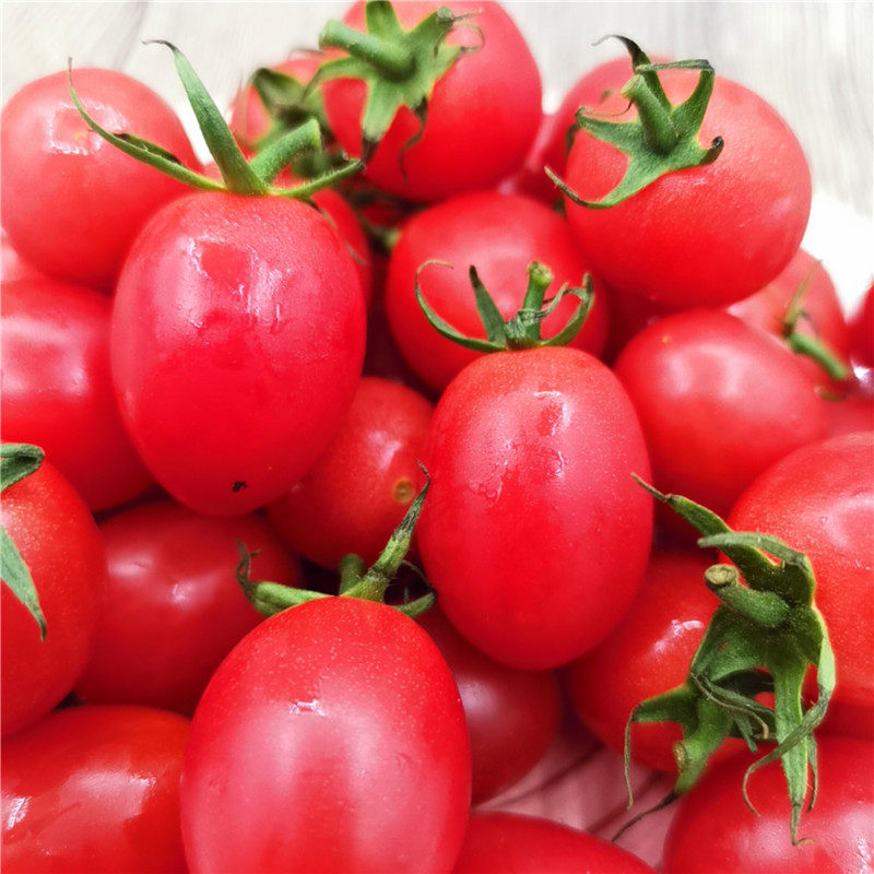 水果正宗海南陵千禧小番茄圣女果4斤新鲜小西西红柿番茄